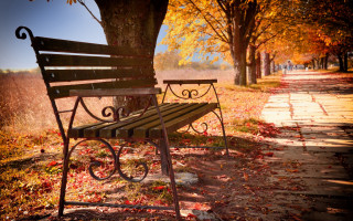 Autumn leaves bench tree path - plein air free wallpaper