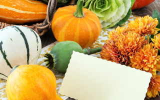 Pumpkins flowers note basket harvest - free halloween wallpaper