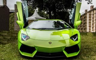 Green sports car open parked - a grassy area free wallpaper