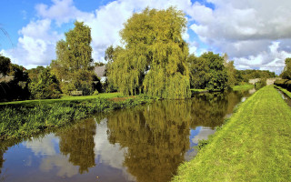 River trees grassy bank house 2 - eugeen van mieghem free wallpaper