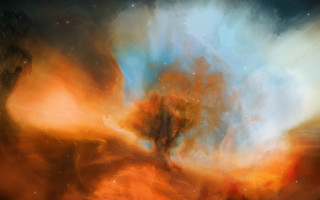 Tree field sky stars nebula - nebula free wallpaper