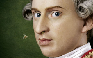 Man nose ring bee portrait - classical painting free wallpaper
