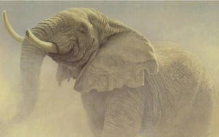 Elephant dust airbrush classical realism - classical realism free wallpaper