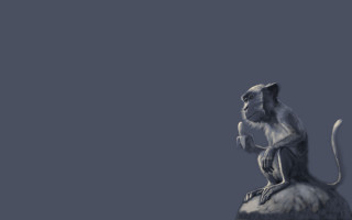 Monkey rock blue sky naturalism - a sky background behind free wallpaper