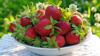 Strawberries bowl outdoor sunlight impressionism - a bowl of strawberries free wallpaper