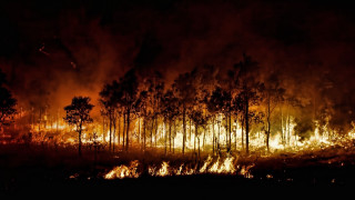 Forest fire night sky autumn - david lachapelle free wallpaper