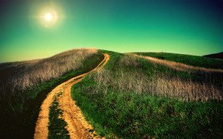 Dirt road grassy hill sunlight - a grassy hill free wallpaper
