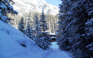 Snow covered road cabin trees - a mountain in the distance free wallpaper