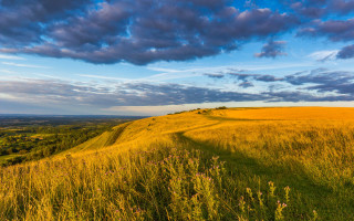Grassy hill path clouds flowers - free summer wallpaper for desktop