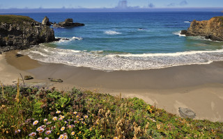 Beach wave cliff flowers sunset - the sand free wallpaper for desktop