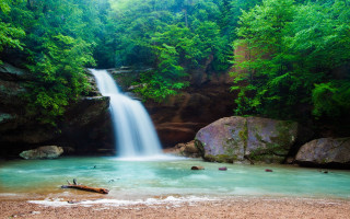 Waterfall forest fallen tree man - a waterfall in a forest free wallpaper