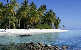 Tropical beach boat palm trees 2 - a white sand beach free wallpaper