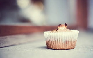 Cupcake bite on table blurry - free animals wallpaper