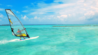 Wind sailor water sailboard beach - top of a body free wallpaper