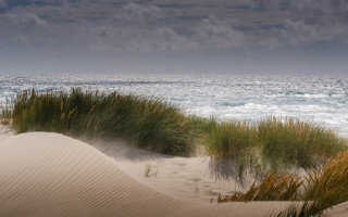 Grassy water sand dunes cloudy - a grassy area free wallpaper