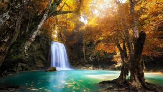 Waterfall forest blue pool autumn 2 - a blue pool of water free wallpaper