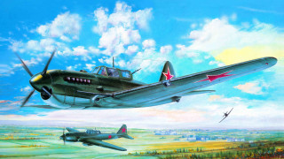 Plane bird sky mountains ocean - over a field free wallpaper