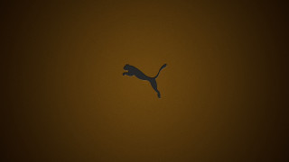 Black brown cat air minimalist - a black cat free wallpaper