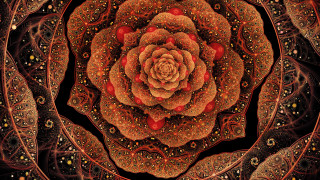 Intricate flower red gold black - amanda sage free wallpaper