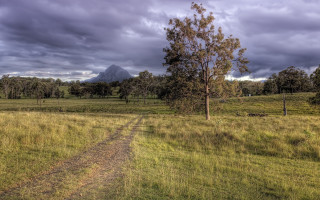 Dirt road field tree mountain - a dirt road in a field free wallpaper