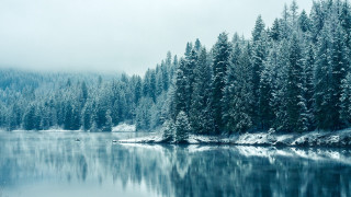 Lake snowy forest boat fog - the air above free wallpaper
