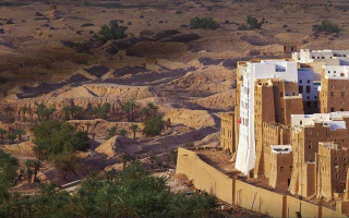 Desert city sand dunes trees - the background and a sky line in the foreground free wallpaper for desktop