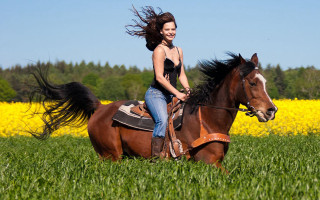 Woman horse field flower sky - a woman riding free wallpaper