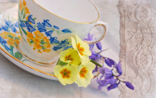 Cup flower saucer lace stilllife - a saucer free wallpaper