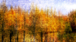 Forest autumn leaves campfire fire - impressionist painting free wallpaper