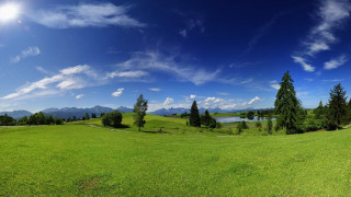 Green field trees lake sky - ultra wide angle free wallpaper for desktop