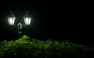 Street light bush night ambient - a few bush free wallpaper