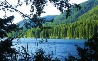 Lake mountains trees clouds park - lake free wallpaper