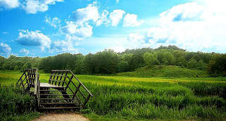 Wooden bench field trees sky - a wooden bench free wallpaper