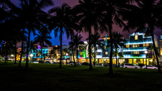 Night cityscape palm trees architecture - art deco free wallpaper