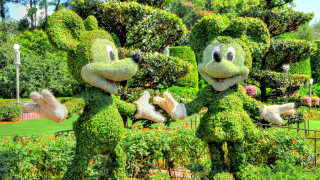 Green plants with faces park - a couple free wallpaper