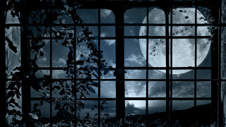 Full moon window bars gothic - frame free wallpaper