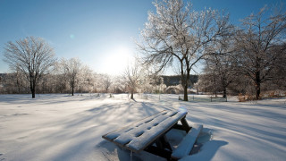 Snowy park bench trees blue - a bench free wallpaper