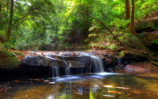 Small waterfall forest stream autumn - a small waterfall in a forest free wallpaper