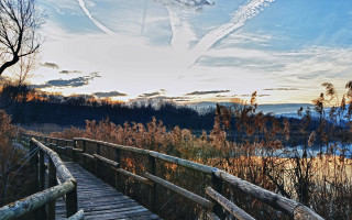 Wooden bridge lake sky bird - a wooden bridge free wallpaper