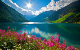 Lake mountains flowers sun clouds - a bright sun in the background free wallpaper