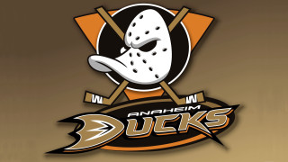Hockey mask sticks anaheim ducks - a hockey logo free wallpaper