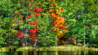 Lake fall colors reflection impressionist - fall free wallpaper for desktop
