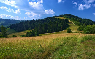 Grassy field hill trees trail - a hill in the background and trees free wallpaper