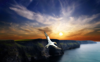 Bird flying over cliff ocean 2 - surrealism free wallpaper