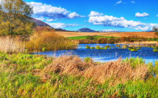 Pond trees mountain clouds field - a pond free wallpaper