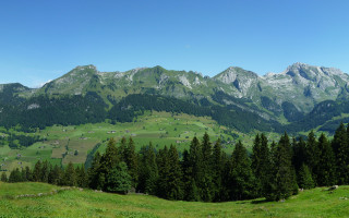 Mountain range grassy field trees 3 - a grassy field in the foreground free wallpaper