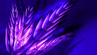 Purple flower blue background purple - a purple sky in the background free wallpaper for desktop