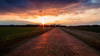 Brick road birds sunset matte - a brick road free wallpaper