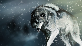 Wolf snow night falling digital - eye open free wallpaper