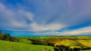 Green field trees clouds blue 3 - white cloud above free wallpaper